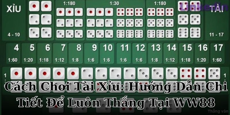 cách chơi tài xỉu